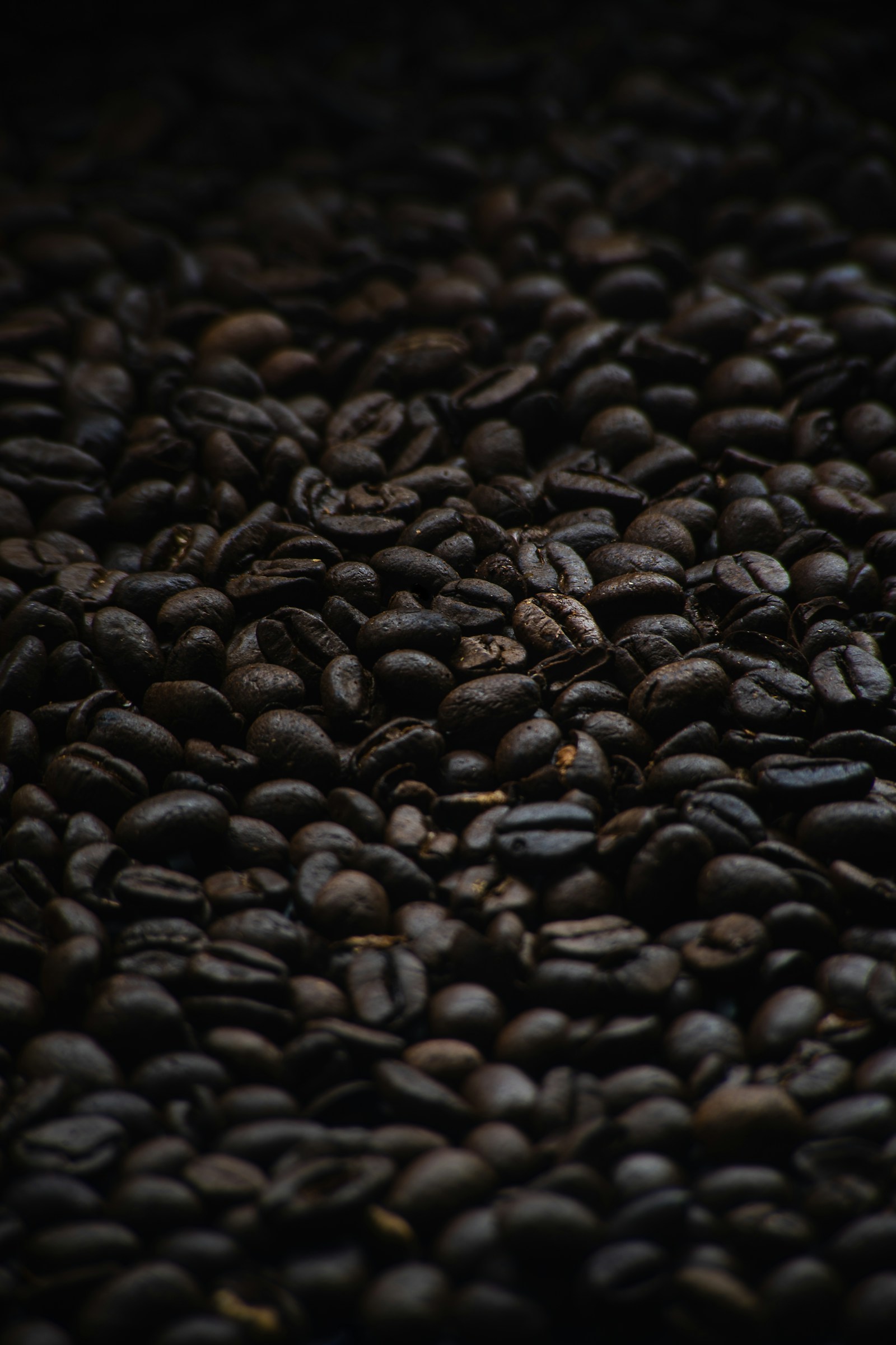 Close-up of roasted coffee beans